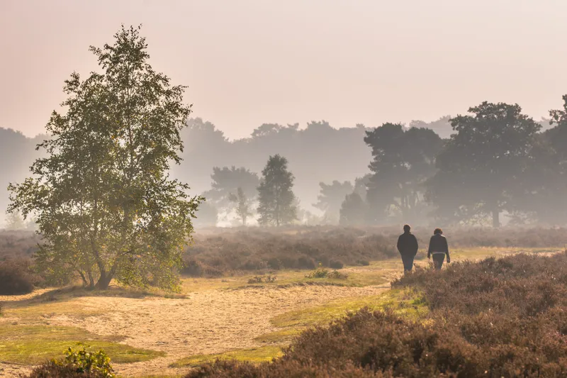 ZIJN. breidt zorgaanbod in regio Foodvalley uit